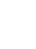 NELLES MEDIA