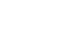 NELLES MEDIA