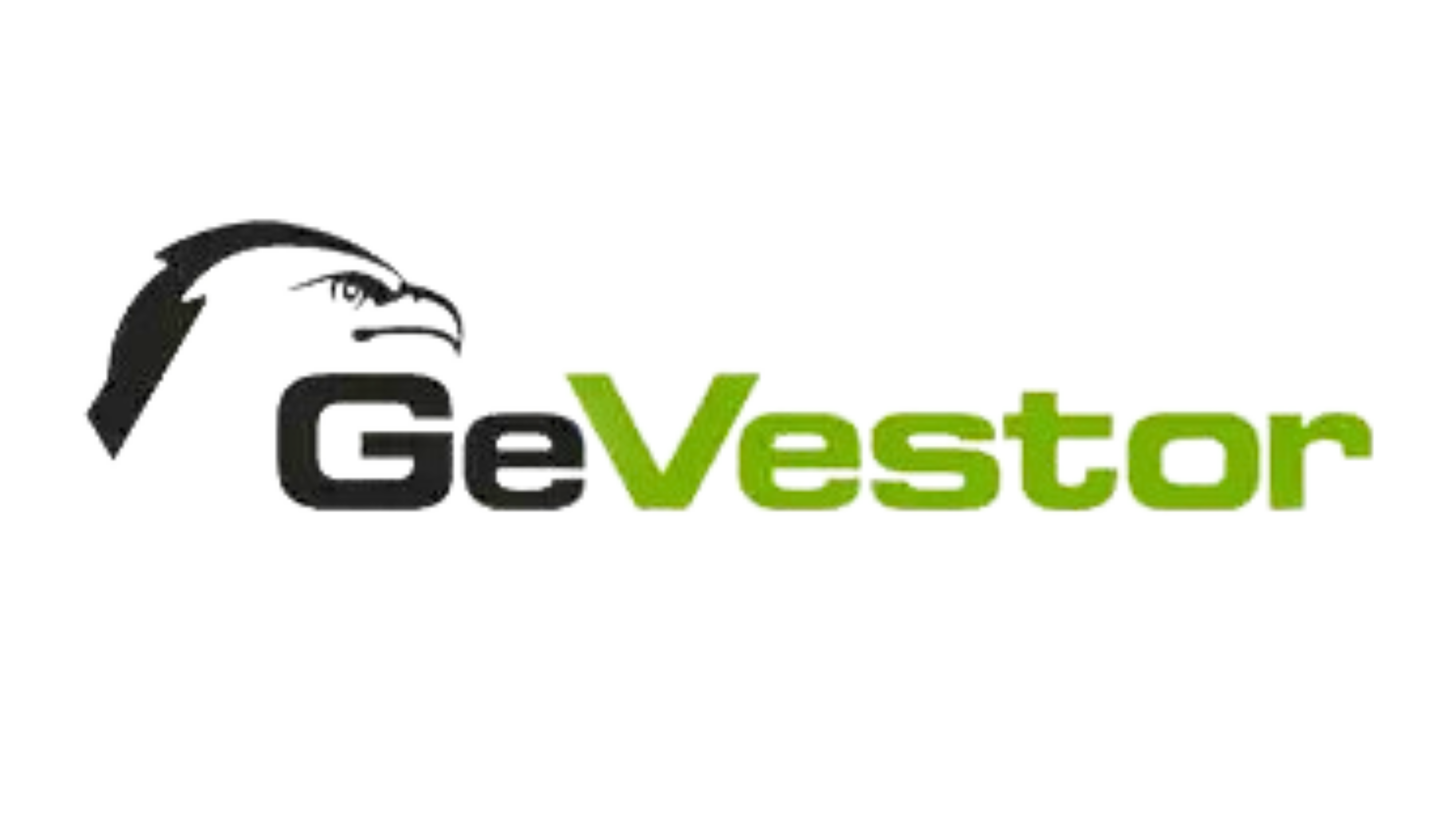 https://nellesmedia.com/wp-content/uploads/2024/10/GeVLogo.png